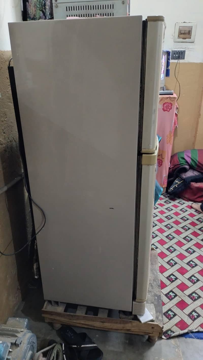Freezers 1