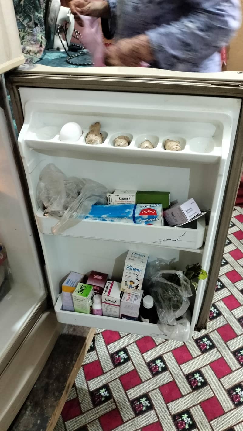 Freezers 2