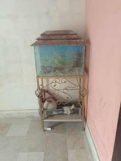 Fish Aquarium