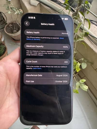 16 Pro Max 256 GB FU