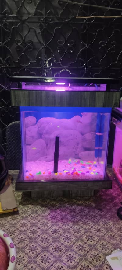 Aquarium
