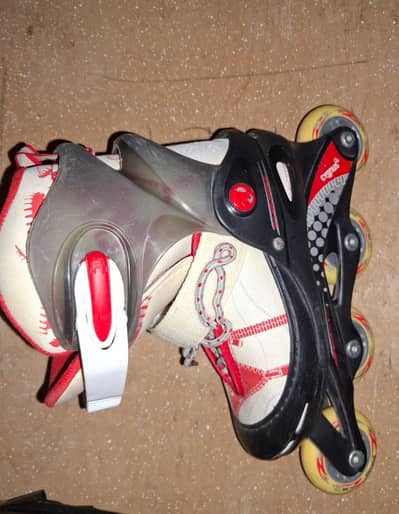 Cygnus skates