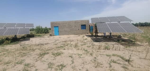 80 Kanal (10 Acres) Fully Developed Agricultural Land for Sale