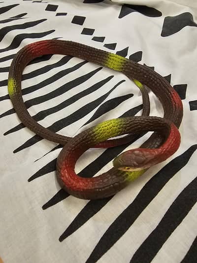 toy snake