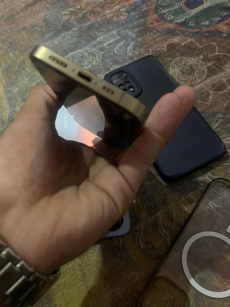 12 pro 4
