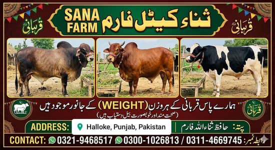 har wajan ky qubani ky janwar