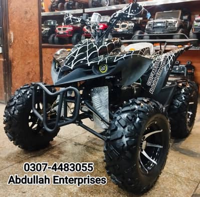 250 cc adult size 12no. raptor recondition ATV Quad Bike for sale