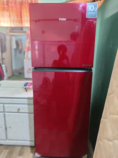 Haier new fridge