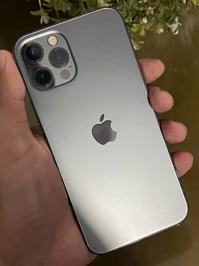 iPhone 12 Pro PTA Approve