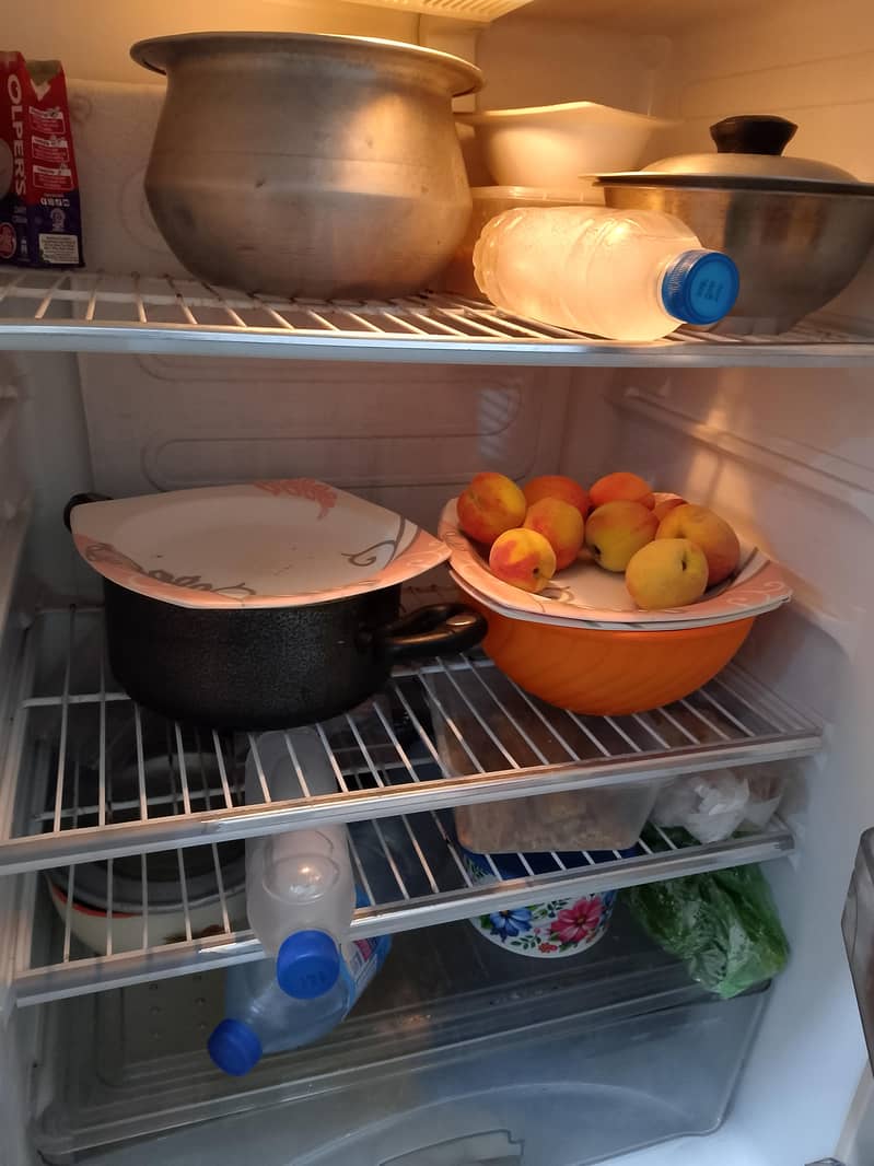 2 Door Fridge 2