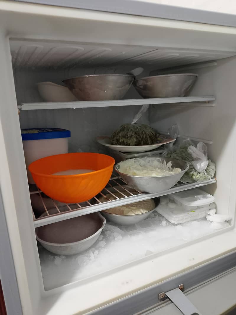 2 Door Fridge 3
