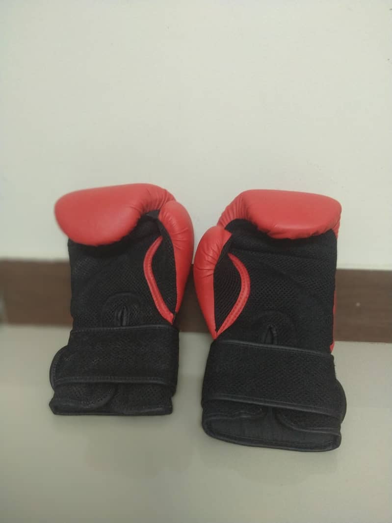 Crane Boxing Gloves 1
