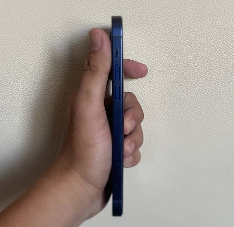 Apple iPhone 12 1