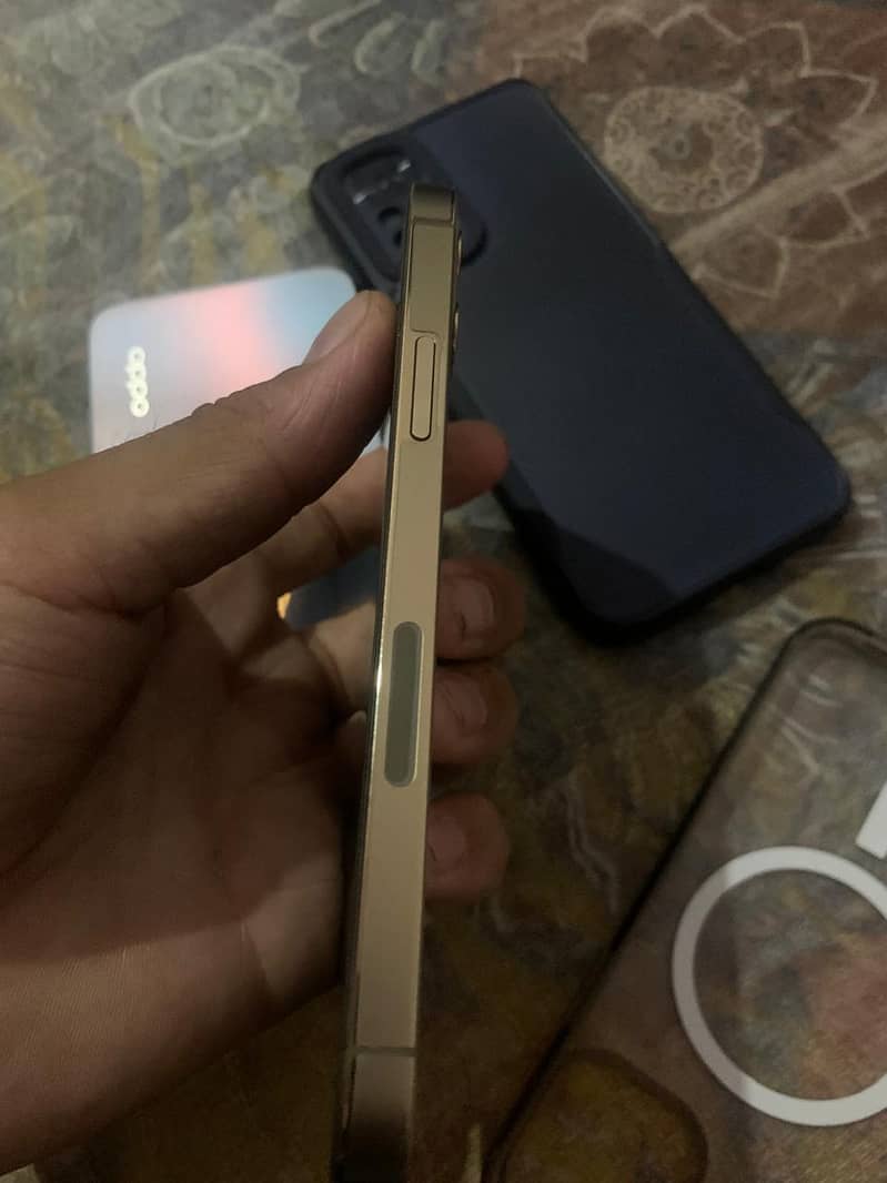 12 pro 1
