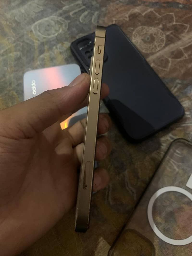 12 pro 2