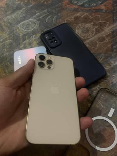 12 pro