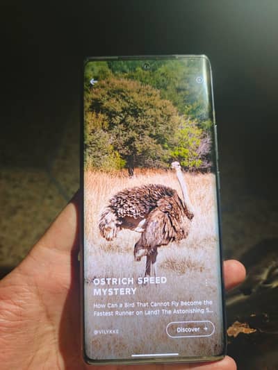Tecno camon 30S 8/256