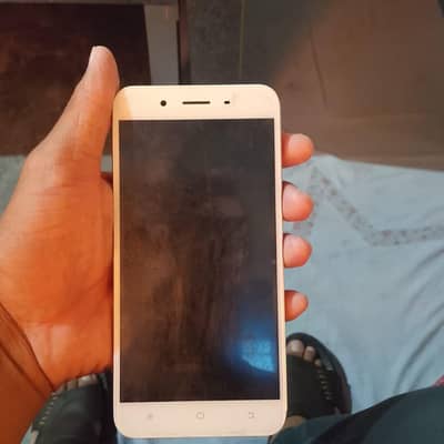 vivo y51 4/64 ( kit phone )