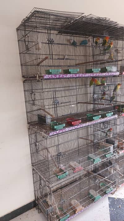 Zarrar cage