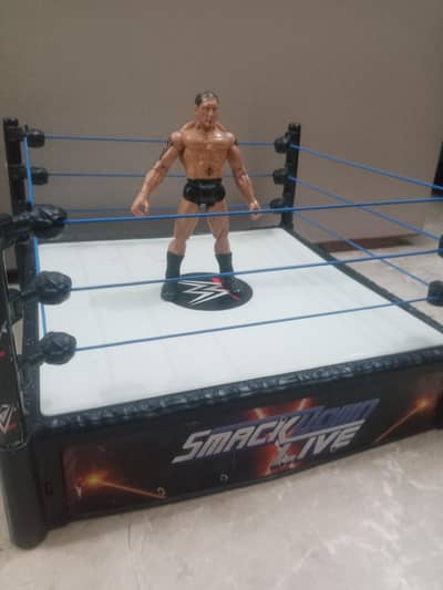 WWE action figure and wwe full size belt