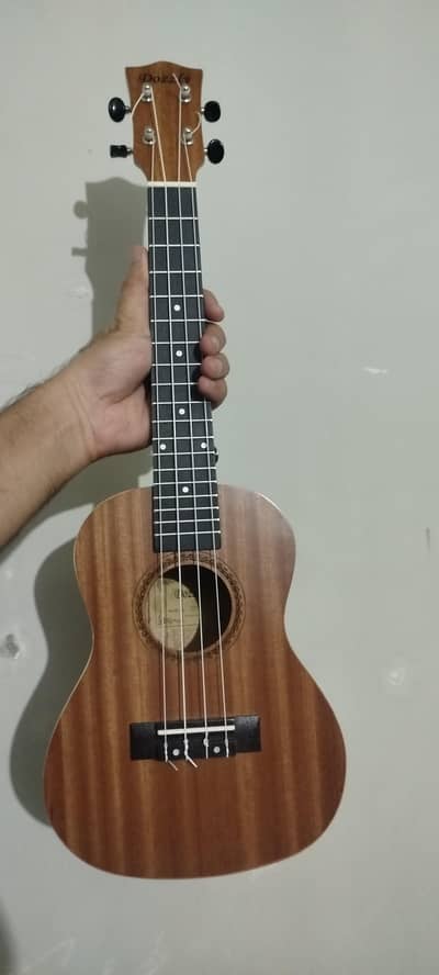 Premium Quality Ukulele | Best For Childern to Learn