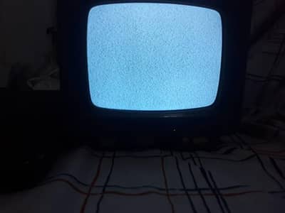 tv515