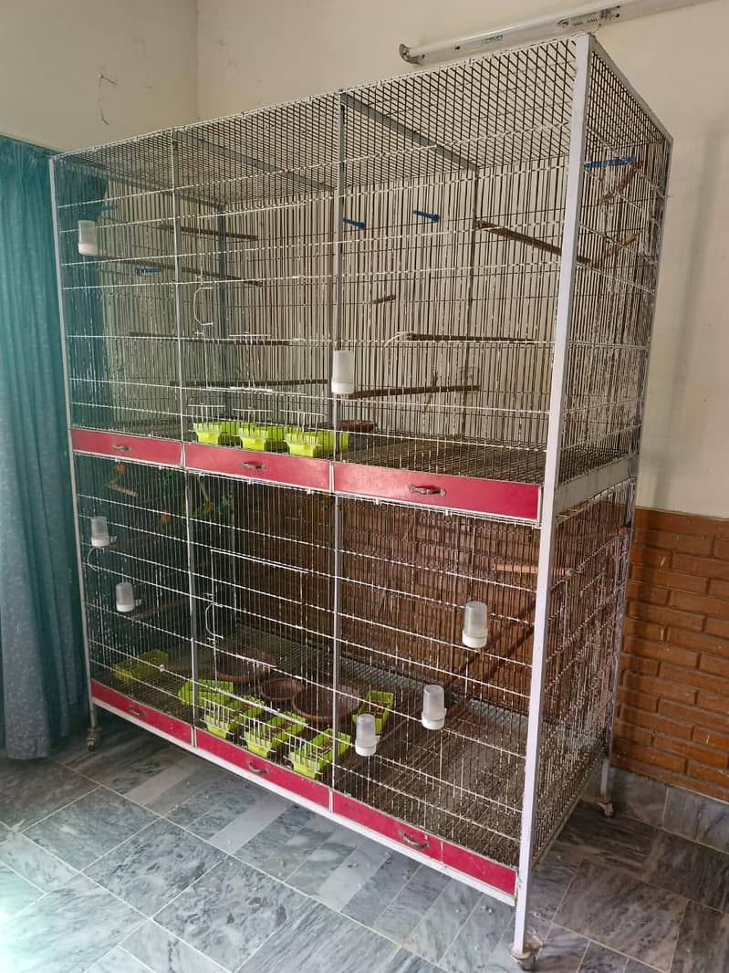 Flying Cage 0
