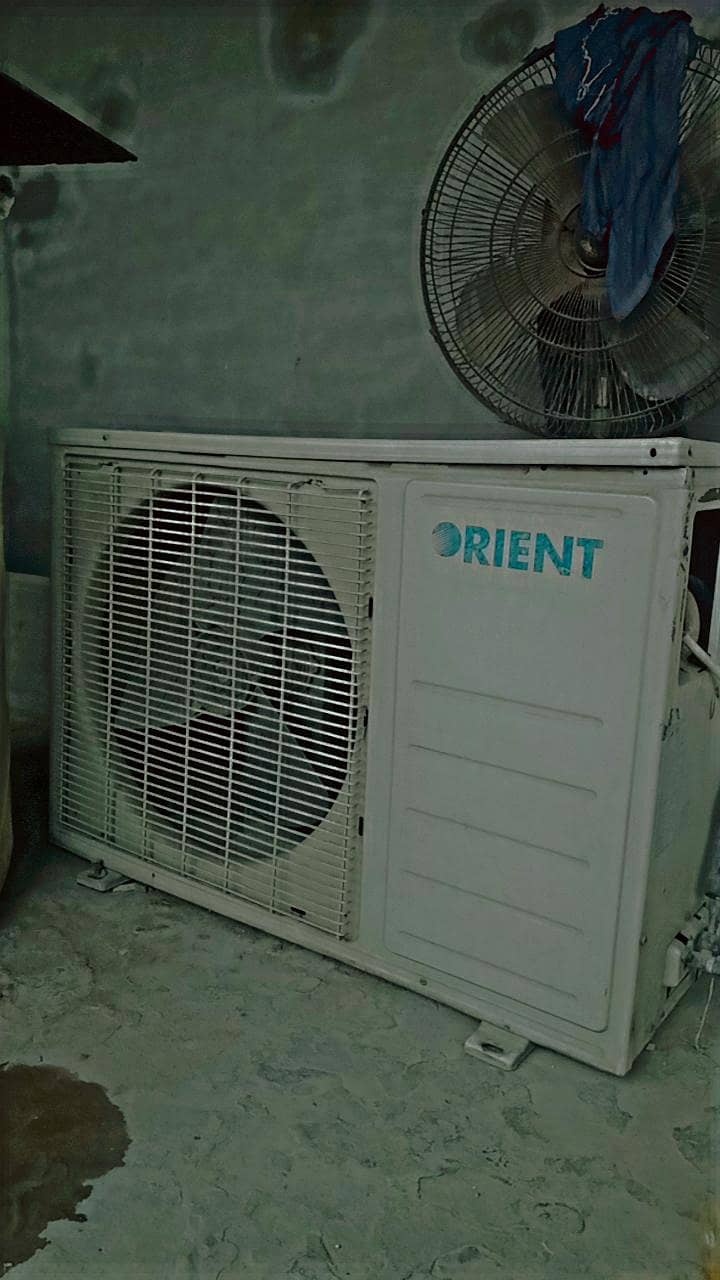 orient 3