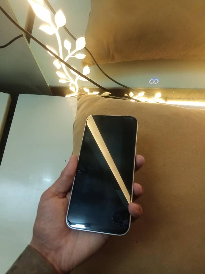 Iphone 12 Pro Max 4