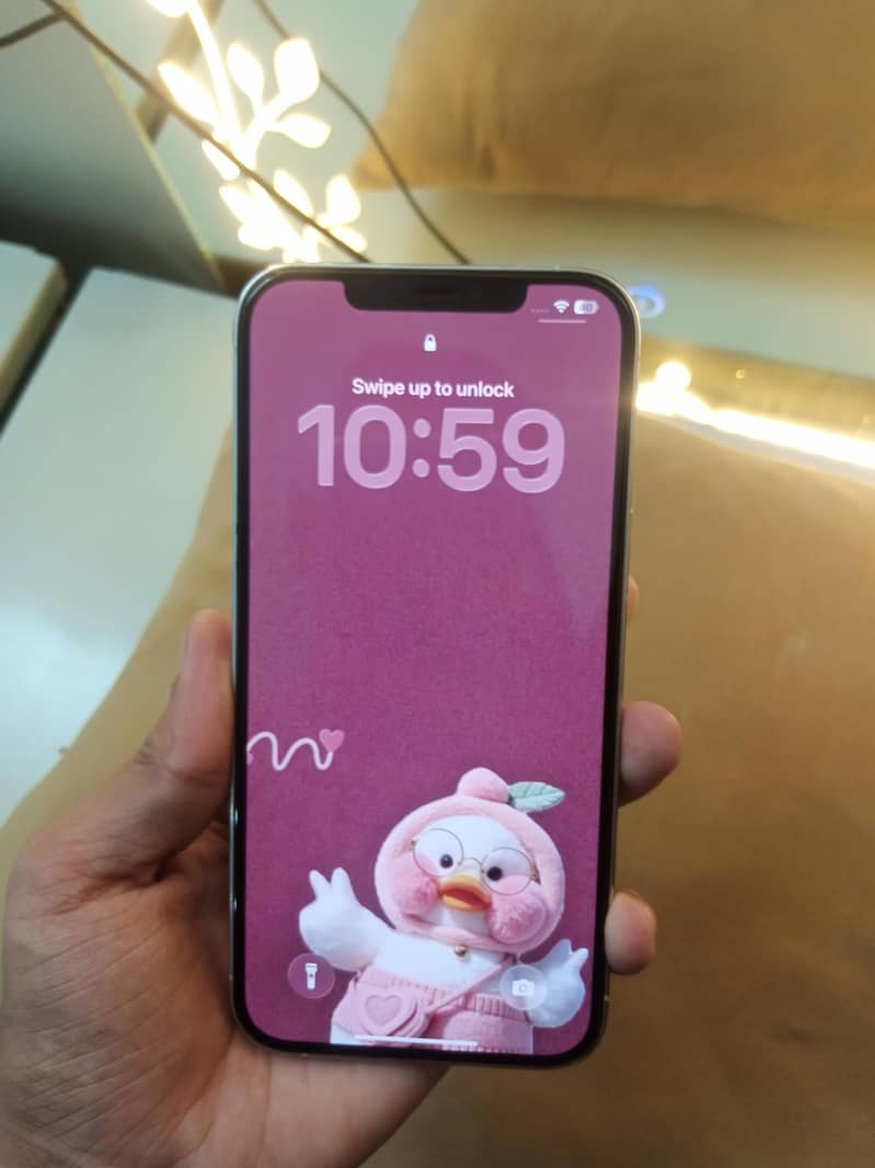 Iphone 12 Pro Max 5
