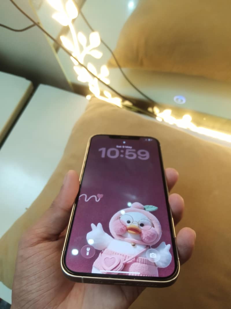Iphone 12 Pro Max 6
