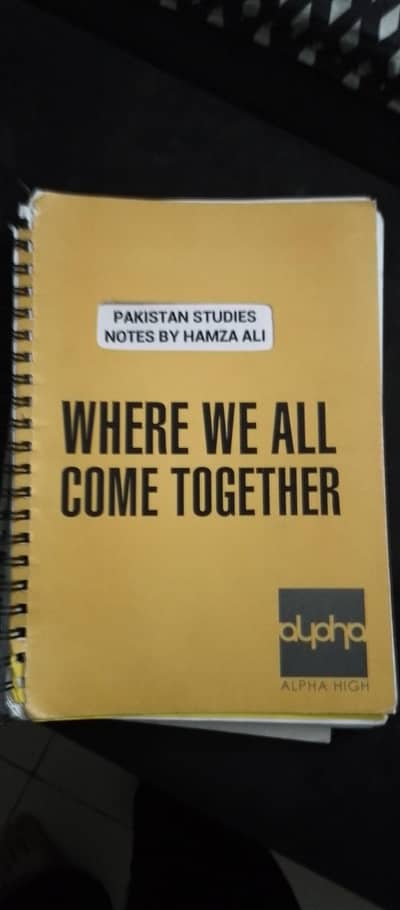 notes of Pakistan studies hamza Ali