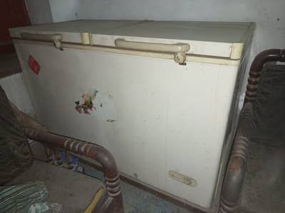 Double Door Freezer Full Size