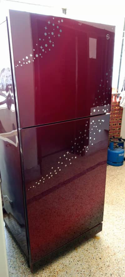Hair Glass Door Fridge