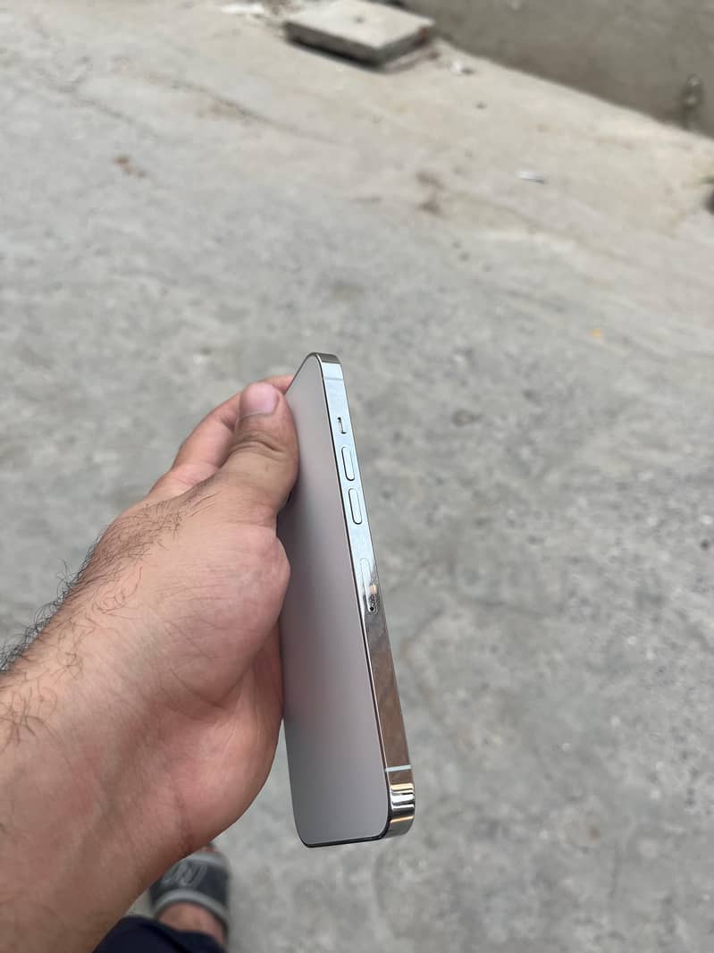 13 pro 6