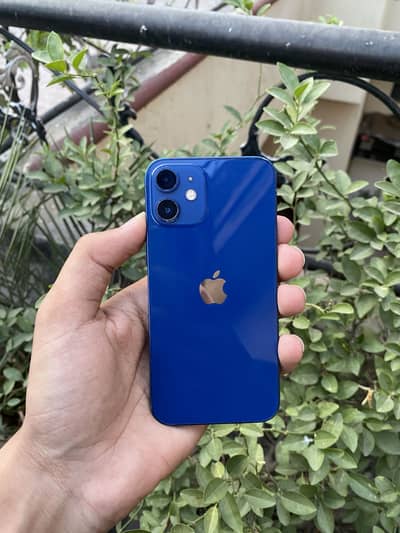 iPhone 12 mini