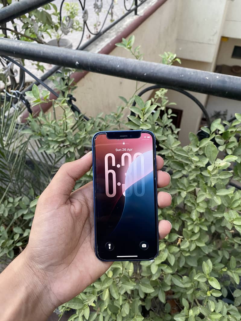 iPhone 12 mini 1