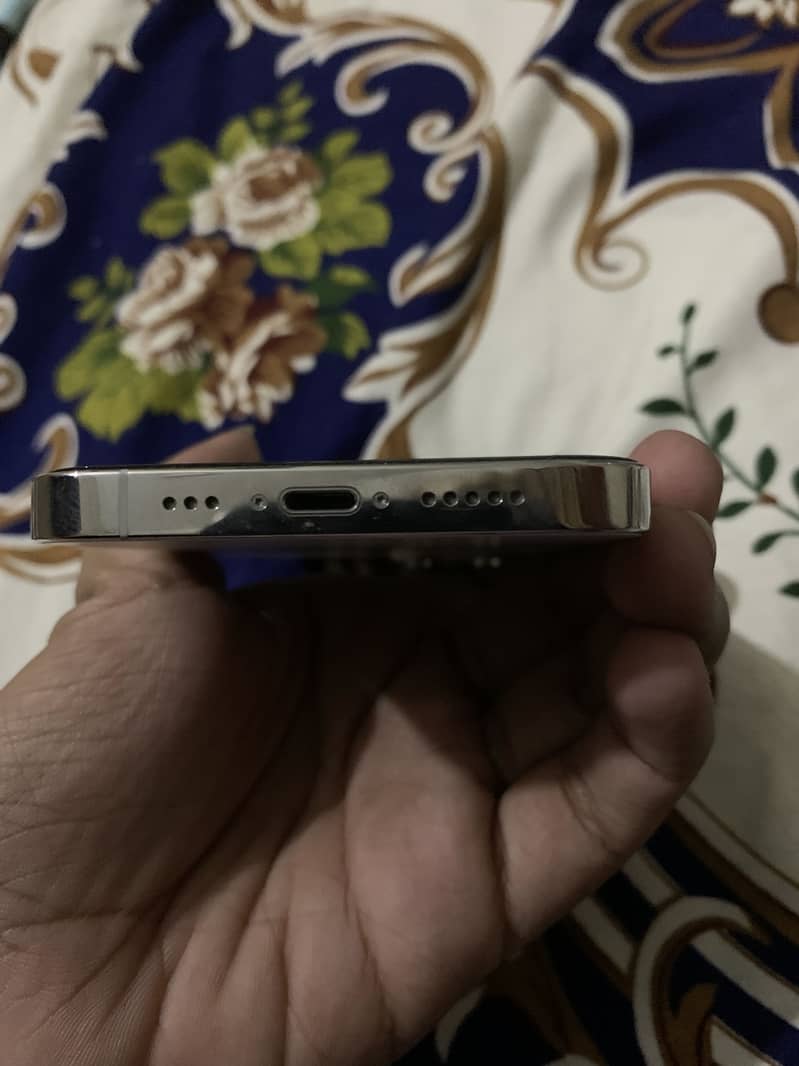 13pro 1