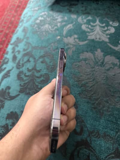 14 promax  pta approved purple colour