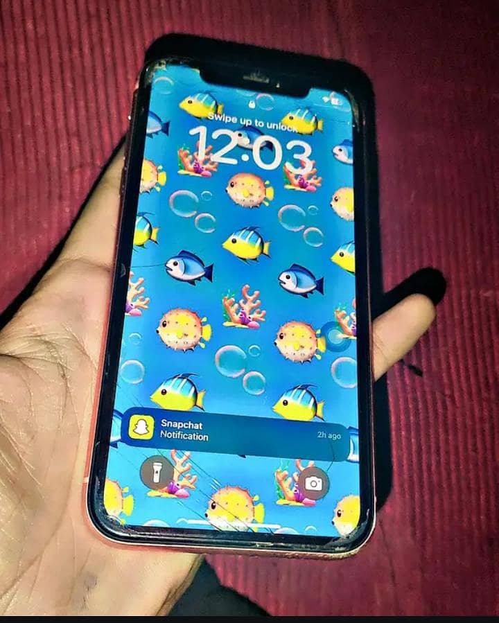 iphone XR 1