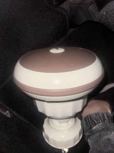 cealing fan