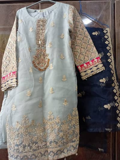 Party fancy cloth ready to wear (women)