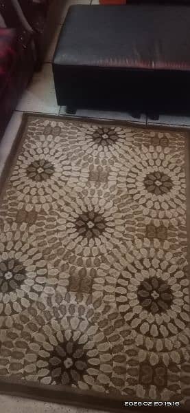 Rug/ carpet