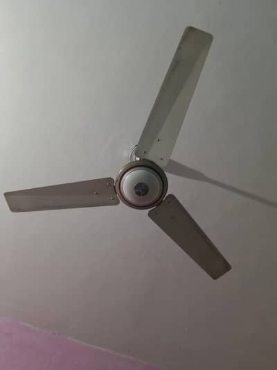 Ceiling fans GFC Fan/Royal Fan/Flaite Fan