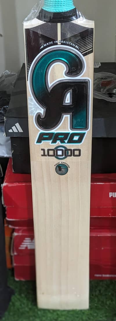 CA PRO 10000 BAT