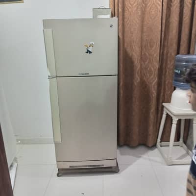 Pel refrigerator for sale