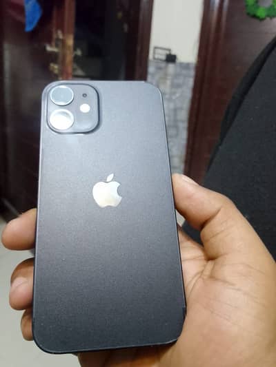12mini