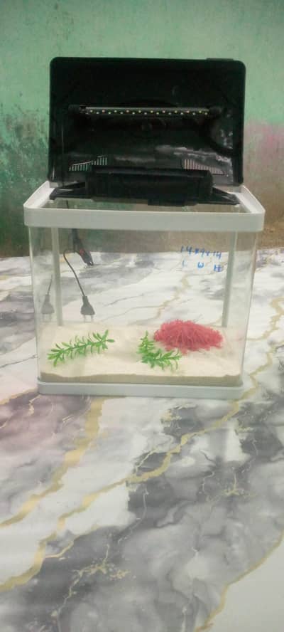 betta fish tabletop imported mini aquarium