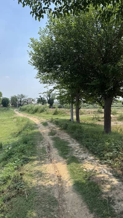 16 kanal Agricultural land Chakwal