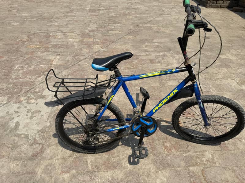 Phoenix cycle 2